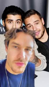 Zayn Malik Supporting Lgbtq