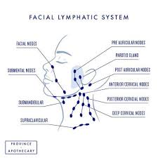 How To Do Lymphatic Drainage Face Neck With Video Tutorials Lymphatic Drainage Lymphatic Drainage Massage Lymph Massage
