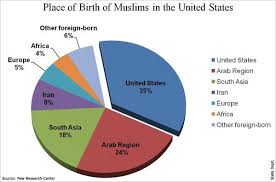 muslims in america pie chart of ethnic composition of