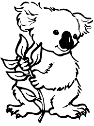Koala coloring pages to print archives and koala coloring page. Free Printable Koala Coloring Pages For Kids Bear Coloring Pages Animal Coloring Pages Animal Coloring Books