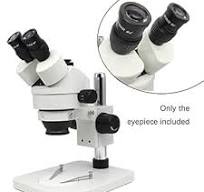 Amazon.com: TYZK Kit de microscopio WF10X/20 WF10X/22 ocular de gran  angular con adaptadores de lente micrómetro de escala de retícula (color :  WF10X ...