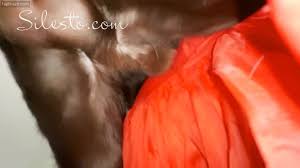 Coral Party with Veronica Silesto - Zoo Dog Porn, Zoophilia, and More! -  Fapbraze.com