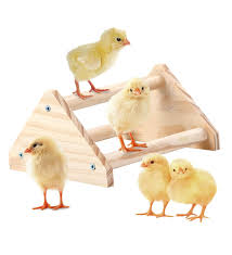Natural Wood Chick Perch and Roosting Bar for Brooder