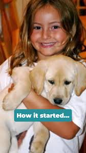 Skye's The Limit Dog Training