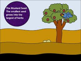 As big as a tree that even birds can make its nests in the. Parables Of Gathering Matthew Ppt Download