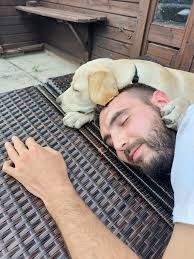 1st place for Toby at the dog show!