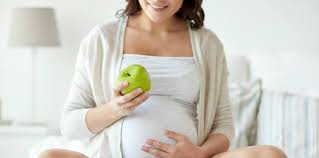 Epal hijau mempunyai pelbagai khasiat kerana kandungi nutrisinya yang tinggi, seperti zat besi, magnesium, potasium, kalsium, soldium, vitamin c, vitamin a, vitamin b dan serat yang mudah larut. Epal Hijau Untuk Diet Jual Teatoxx Kota Bekasi Vathara Tokopedia