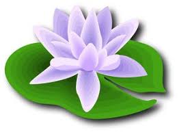 Blue Lotus Photo Clipart Image Lavender Lotus Flower Blue Lotus Flower Flower Clipart Images Flower Clipart