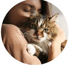 How often should you change your cats litter. How Often To Change Cat Litter Arm Hammer Cat Litter