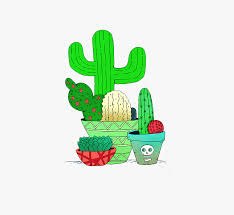 En la edición cactus y suculentas, 100 preguntas y respuestas, vas a encontrar datos sobre esta edición especial incluye el capítulo otros usos, donde vas a aprender sobre su utilización en medicina, cosmética y gastronomía, y principales géneros de suculentas, para que sepas diferenciar las. Cactus Y Suculentas Png Transparent Png Kindpng