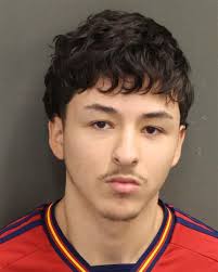 18-year-old ELIAS MATEO was booked