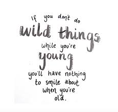 If You Don T Do Wild Things While You Re Young You Ll Have Nothing To Smile About When You Re Old Travel Quotes Li Bio Quotes Young Quotes Friendship Quotes