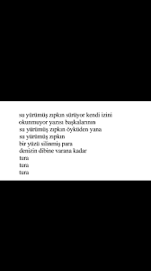 Su Yurumus Zipkin Suruyor Kendi Izini Murathan Mungan Iz