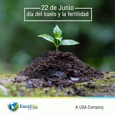 En egipto, eratóstenes midió por primera vez la circunferencia de la tierra. Excelag Ecuador Hoy 22 De Junio Se Celebra El Facebook