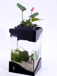 Yi 6 Aquarium Planter Fish Tank Plant Green Decor Gift Etsy In 2020 Fish Tank Plants Aquaponics Aquaponics Diy