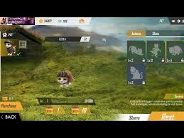 Best free fire pet name: Getting Myself A Kitty In Free Fire Battlegrounds Youtube