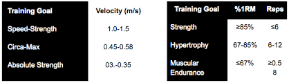 training at velocity rather than percentages by mark