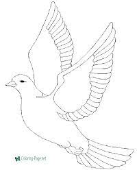 Printable coloring pages for kids, pictures and sheets you can print and color. Bird Coloring Pages
