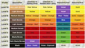 How To Choose The Right Toner For Highlighted Hair Redken Hair Color Hair Color Wheel Hair Color Placement