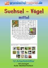Suchsel mittel / klasse) hier lernst du, dass ein buchstabe viele verschiedene aussehen haben kann. Vogel In Der Grundschule Suchsel Ratsel Puzzles Und Suchsel Material Klassenubergreifendes Material Grundschulmaterial De
