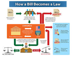 How A Bill Becomes A Law Flowchart On Behance