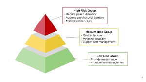Image result for Start Back Screening Tool