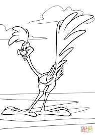 Roadrunner and coyote coloring pages. Looney Tunes Road Runner Coloring Page Free Printable Coloring Pages Looney Tunes Coloring Pages Cartoon Coloring Pages Bunny Coloring Pages