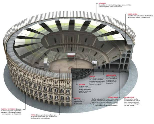 Partes de un 
anfiteatro
