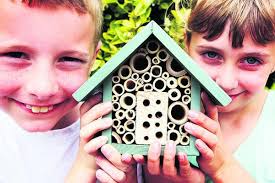 Picture special: Plenty of challenges and fun for schools