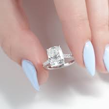 Image result for Pavetta comostyla