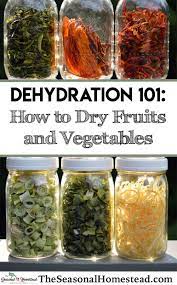 Food Dehydration 101 Drying Fruits And Vegetables The Seasonal Homestead Dehydrated Vegetables Food Dehydration Dehydrated Fruit