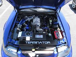 Maybe you would like to learn more about one of these? This Site Is Dedicated To The 2003 2004 Svt Mustang Cobra One Of The Fastest Cars In Its Day And Still Is Today Ian Mcintyre S 2003 Sonic Blue Svt Terminator Cobra Coupe Order You Data Plates From Data Plates Plus Www Dataplatesplus Com Home