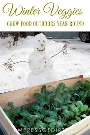 How To Grow Vegetables Outdoors In The Winter Empress Of Dirt Winter Vegetables Gardening Fall Garden Vegetables Growing Vegetables