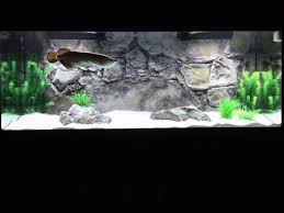 Pin On Fresh Saltwater Aquarium Equipment Accessories