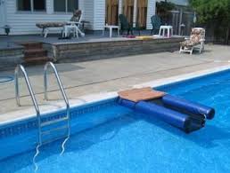 Back To Dog On Water Ramp Animali E Animali Da Compagnia Animali Cani