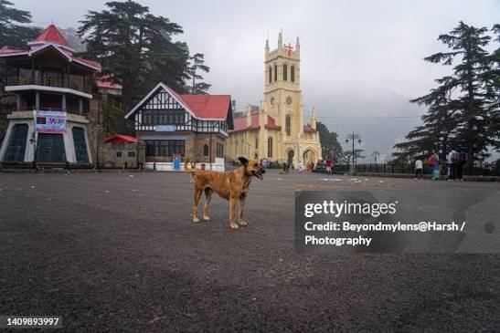 129 Church Shimla Stock Photos, High-Res Pictures, and Images - Getty Images