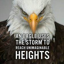 Pin By Halimath Shahajiya On Determined Inspiring Quotes About Life Eagles Quotes Warrior Quotes