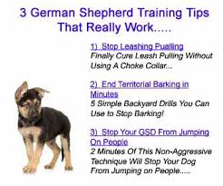 Puppy Teething And Your German Shepherd