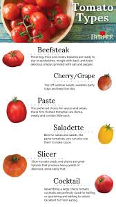 Tomato Types Find The Perfect Tomato Type For Your Garden