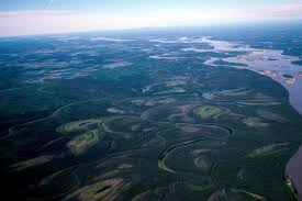 Mercury from permafrost thaw could make Yukon River fish inedible - study