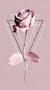 21 Fondos De Pantalla Para Ser Toda Una Chica Tumblr Fondos De Pantalla Iphone Tumblr Iphone Fondos De Pantalla Fondo Pantalla Celular
