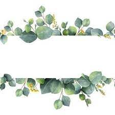 Watercolor Greenery Eucalyptus Clipart Geometric Frame Hand Etsy Flower Drawing Flower Painting Floral Border Design