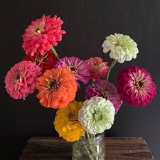 Check spelling or type a new query. 12 Zinnia Flower Arrangements We Love Flower Magazine