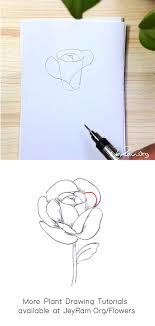 How To Draw A Rose Step By Step For Beginners Jeyram Art Another free still life for beginners step by step drawing video tutorial.