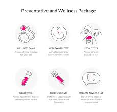 Find the plan that fits your pup's needs. Pet Insurance Cost Explained Lemonade Insurance
