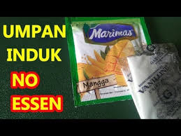 Cara membuat umpan lumut untuk ikan nila liar adalah mencampurkan lumut dengan garam serta sari pandan. Umpan Ikan Mas Pake Tempe By Tukang Ikan
