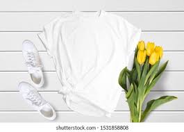 We did not find results for: Buy Bella Canvas Mockup Cheap Online