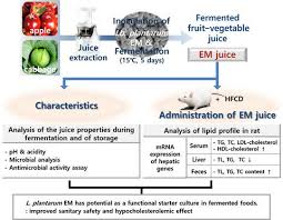 He performed popular chinese hit song qing fei de yi on the show and impressed with his live performance. Characterization Of Juice Fermented With Lactobacillus Plantarum Em And Its Cholesterol Lowering Effects On Rats Fed A High Fat And High Cholesterol Diet Food Science Nutrition X Mol