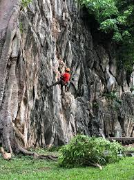 1 day package selling package: Tourism Selangor On Twitter Tsreview Pusingselangordulu Guadamaiextremepark Gua Damai Extreme Park Promotion Rock Climbing Discount Up To 15 For 3 Persons For More Information Visit Https T Co A7cra5pli2 Https T Co Uugzab1wo2