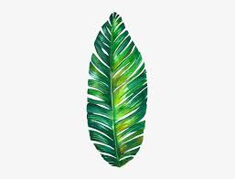 Tumblr Palmleaf Leaf Watercolor Freetoedit Tropical Leaves Watercolor Png Png Image Transparent Png Free Download On Seekpng 51 transparent png illustrations and cipart matching tropical leaves. tumblr palmleaf leaf watercolor